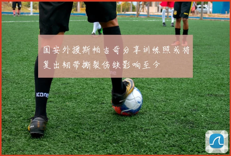 国安外援斯帕吉奇分享训练照或将复出韧带撕裂伤缺影响至今